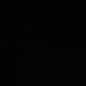 Meet your Posher, Peter